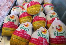 تأمین و توزیع مرغ منجمد برای تنظیم بازار