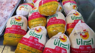 تأمین و توزیع مرغ منجمد برای تنظیم بازار