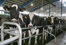 به‌روزرسانی واکسن‌ها