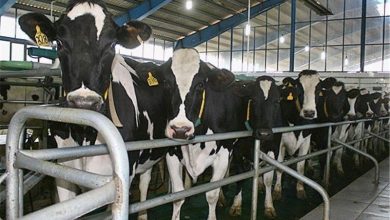 به‌روزرسانی واکسن‌ها