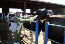 کنترل تب برفکی