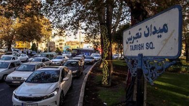 شهردار منطقه یک: هیچ آسیبی به درختان میدان تجریش وارد نمی‌شود / اتمام پروژه تا دو ماه آینده