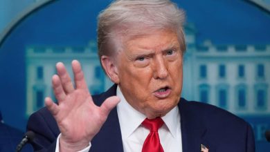 غیرقانونی وارد شده‌اند