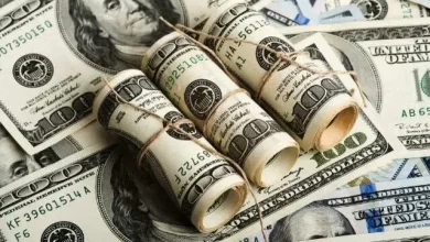 تسهیل بازپرداخت اقساط صندوق توسعه ملی؛ تأمین ارز برای تسهیلات‌گیرندگان فاقد درآمد ارزی!