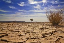 تغییرات دما در تهران به بحران‌های آبی منجر می‌شود