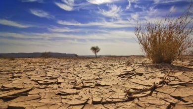 تغییرات دما در تهران به بحران‌های آبی منجر می‌شود