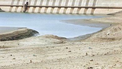 تکذیب خبر کشف پیکرها در سد کرج از سوی آب منطقه‌ای البرز