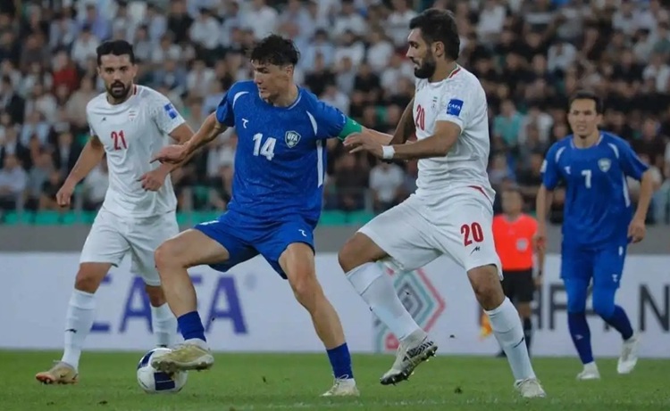 تیم ملی فوتبال