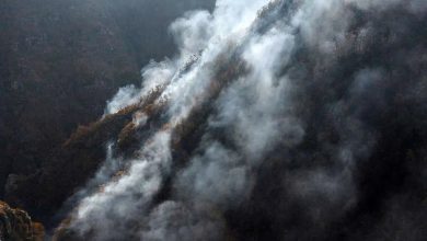 جزییات عملیات اطفای حریق در جنگل‌های الیت هیرکانی