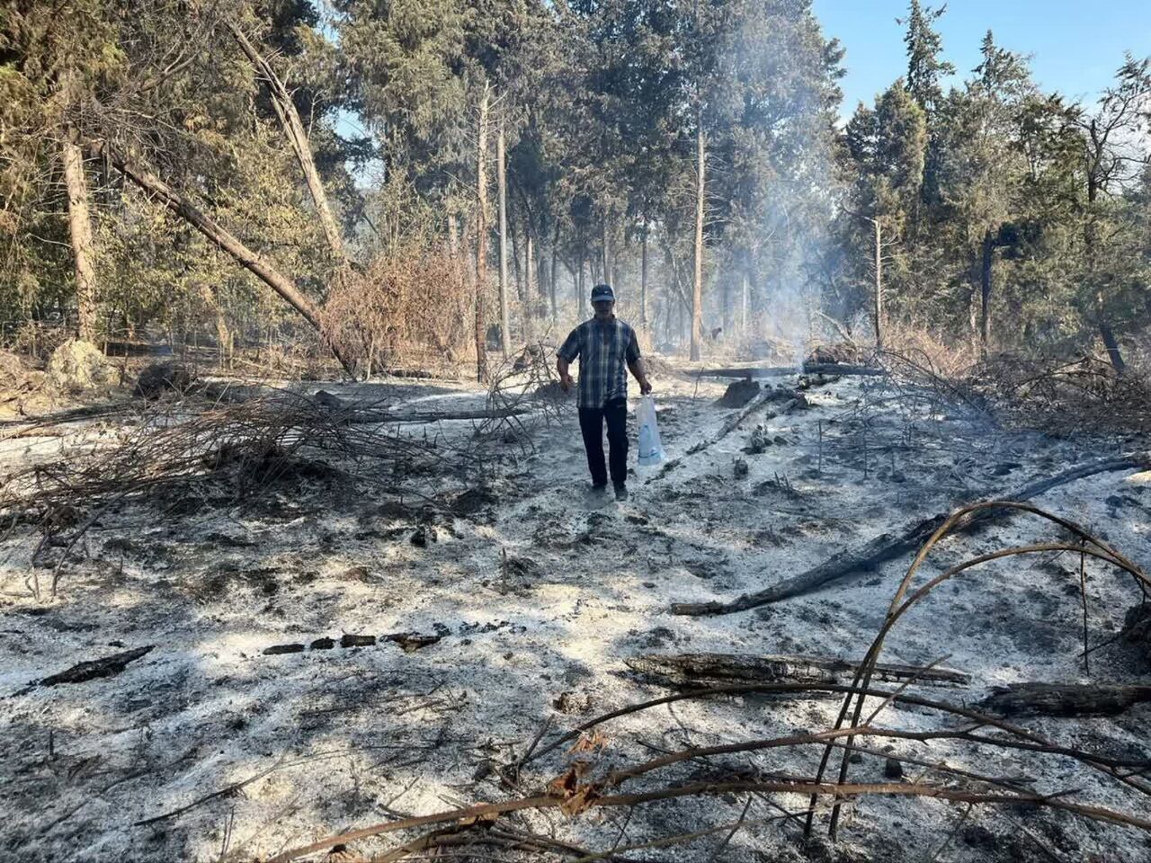 جنگل‌های هیرکانی