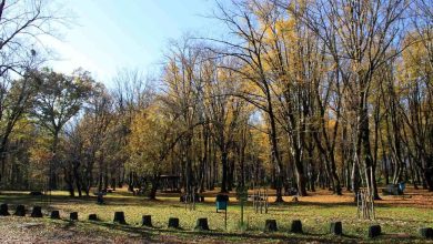 دستور فرماندار نوشهر به دهیاران: تمام مسیرهای ورودی به جنگل‌ها مسدود شود