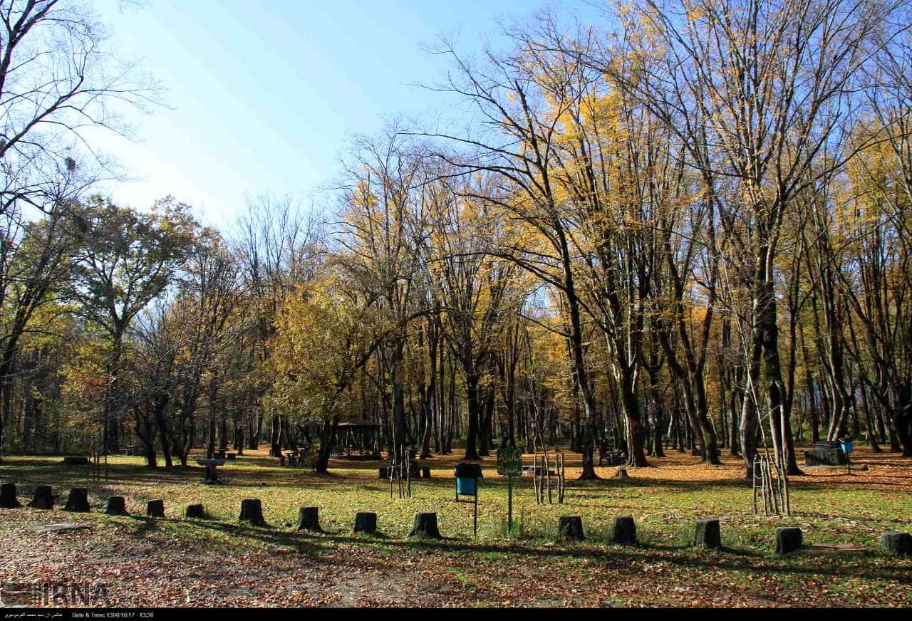 دستور فرماندار نوشهر به دهیاران: تمام مسیرهای ورودی به جنگلها مسدود شود