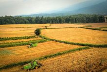 جنگل‌های مازندران