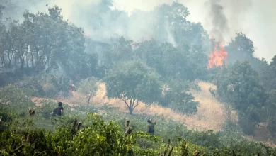 تا اولین باران