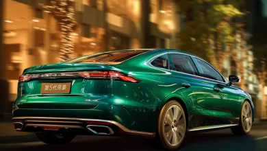 جایگزین دنا و تارا