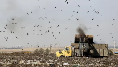 پسماند شمال