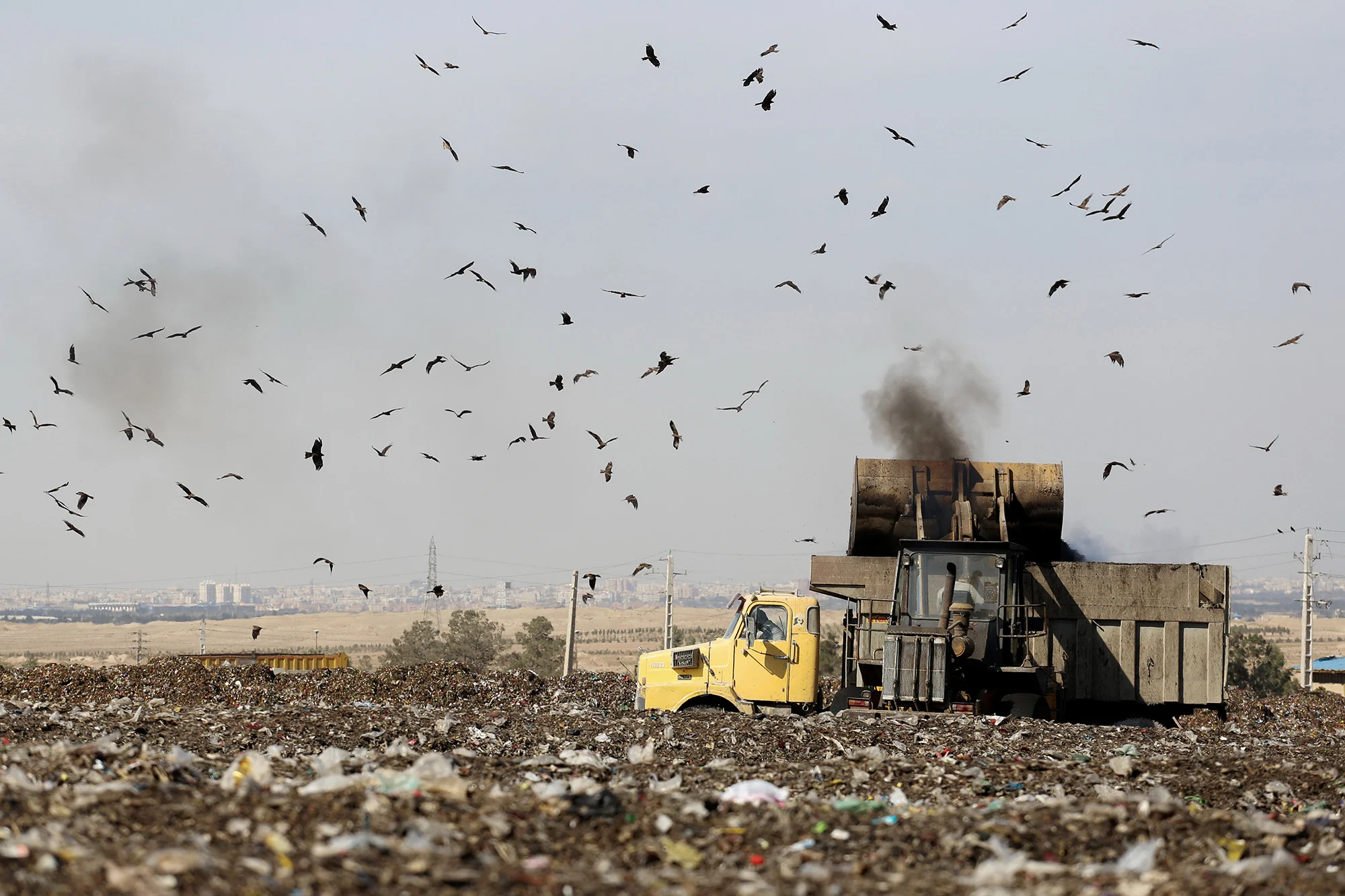 پسماند شمال