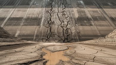 سد کرج به حجم مرده رسید / ذخیره سد در آبان به زیر ۸ درصد رسید