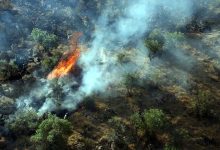 فرو نشاندند