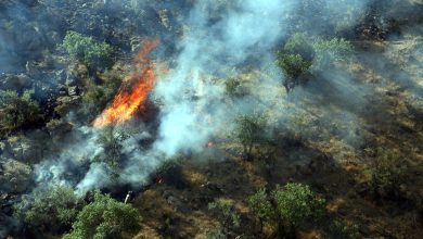 فرو نشاندند