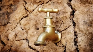 نبض آب تهران به کُندی می‌زند؛ خشکسالی بی‌سابقه زندگی مردم را تهدید می‌کند