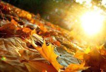 رکورد ۴۰ ساله خشکی شکست؛ کم‌بارشی پاییز ایران را به مرز بحران رساند