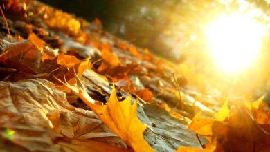 رکورد ۴۰ ساله خشکی شکست؛ کم‌بارشی پاییز ایران را به مرز بحران رساند