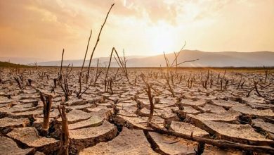 استان قزوین