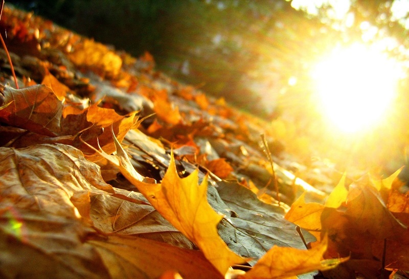 رکورد ۴۰ ساله خشکی شکست؛ کمبارشی پاییز ایران را به مرز بحران رساند