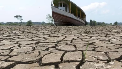 راز کم‌آبی پاییز فاش شد؛ خشکی تالاب‌ها حلقه مفقوده تشکیل ابر و باران در ایران