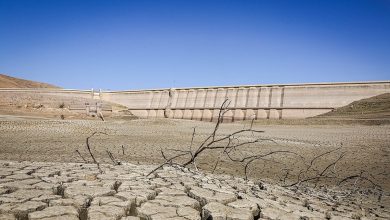 بحران آب ایران: ۴۳٪ افت ورودی سدها؛ هشدار برای تابستان سخت‌تر