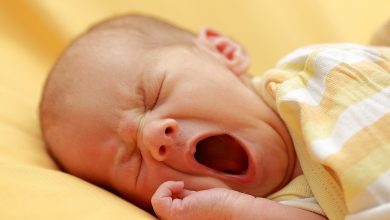 بابون تا انسان