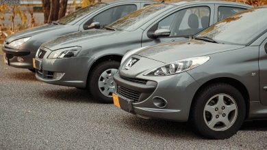 فراخوان صادر کرد