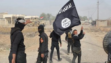 نماینده پارلمان عراق نسبت به افزایش تحرکات داعش در سوریه هشدار داد.