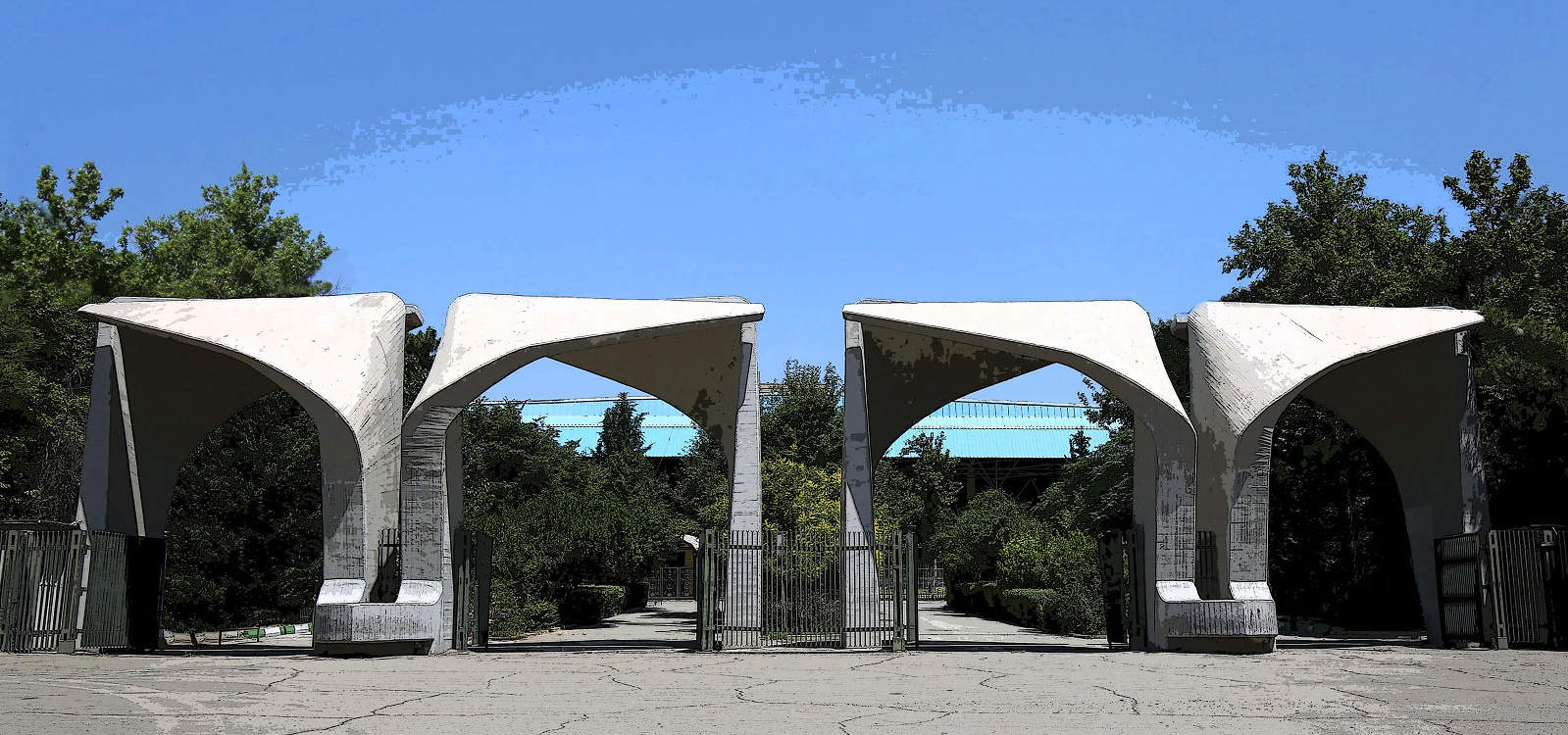 دانشمندان برتر جهان