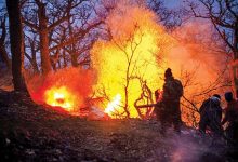 دخالت عامل انسانی در آتش‌سوزی جنگل‌های الیت قطعی است