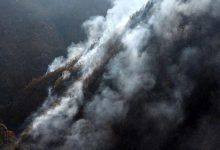 درویش: بدون باران، جنگل الیت در آتش خواهد سوخت