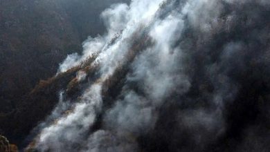 درویش: بدون باران، جنگل الیت در آتش خواهد سوخت