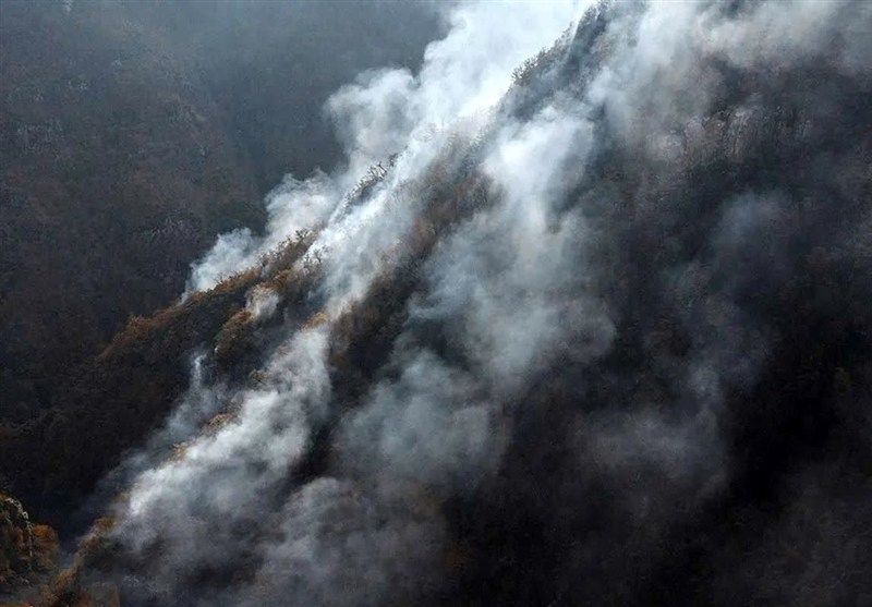 درویش: بدون باران، جنگل الیت در آتش خواهد سوخت