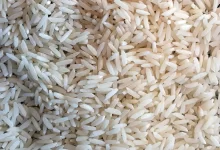 دلالان برنج، عامل اصلی گرانفروشی؛ استراتژی انبارداری برای شکست کشاورز