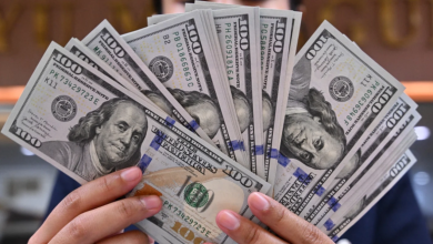 راز افزایش بی‌وقفه قیمت دلار در دولت‌های مختلف چیست؟