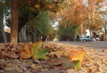 دامنه جنوبی البرز