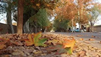 دامنه جنوبی البرز