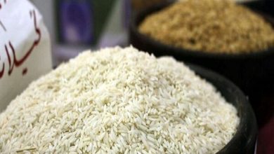 روند صعودی قیمت برنج در ایران؛ دلالان مانع کاهش قیمت برنج داخلی می‌شوند