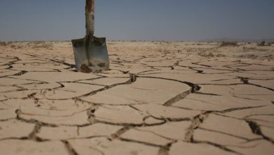 شایعه «ال‌نینو و سیل در ایران» تکذیب شد؛ زمستان خشک‌تر از همیشه خواهد بود