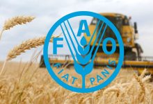 قیمت جهانی غلات