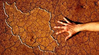 سازمان هواشناسی