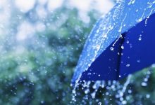 سازمان هواشناسی