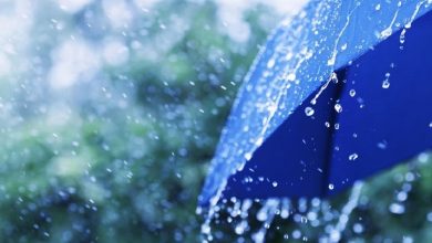 سازمان هواشناسی