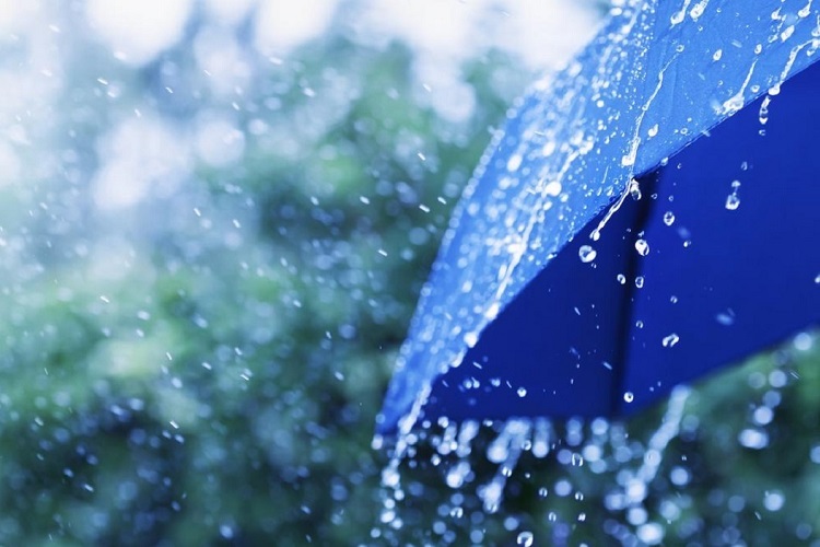 سازمان هواشناسی